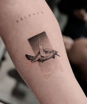 میکرو رئال مطالعه بیشتر