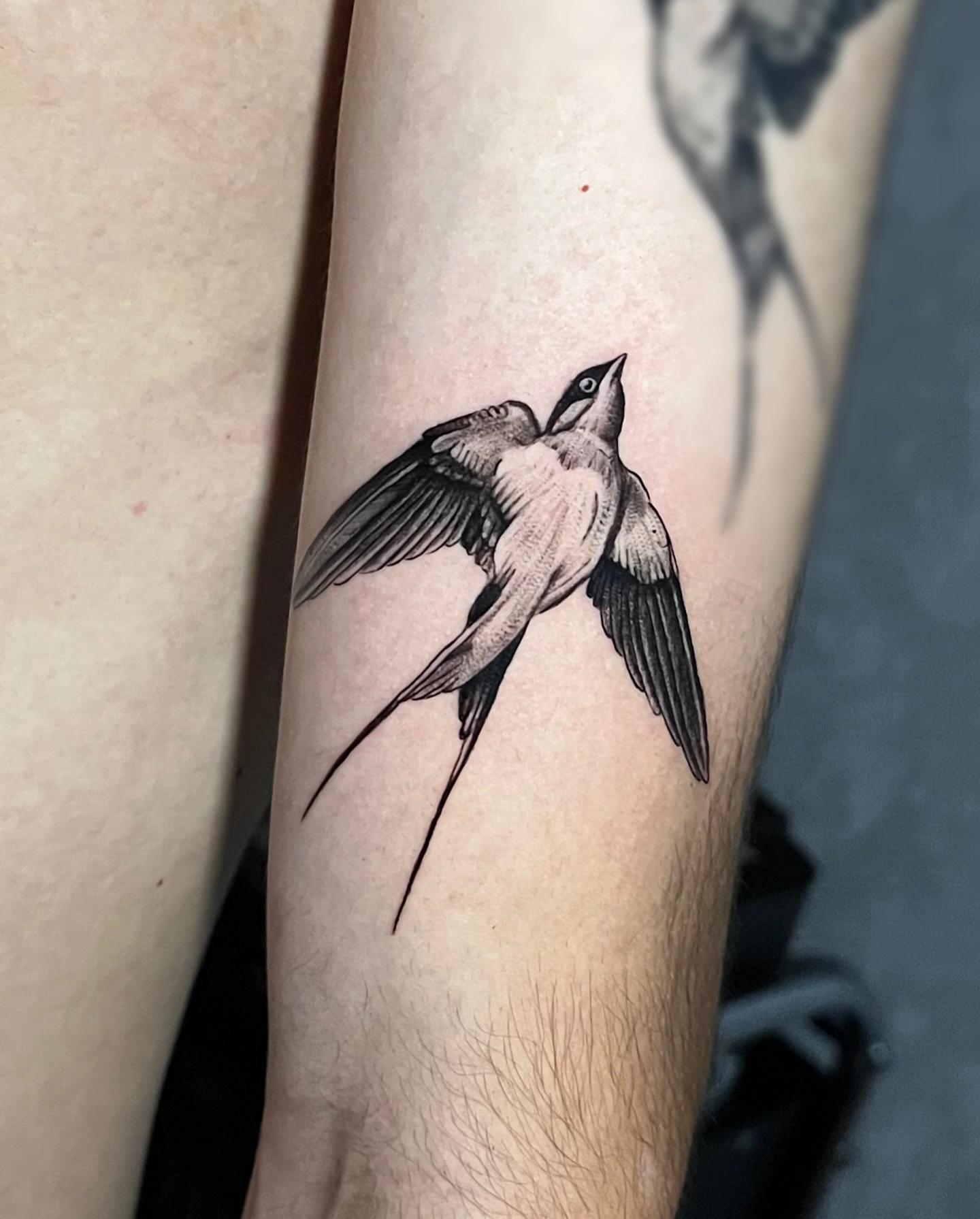 unes.ink_1725470906_3449822465623310496_702228382