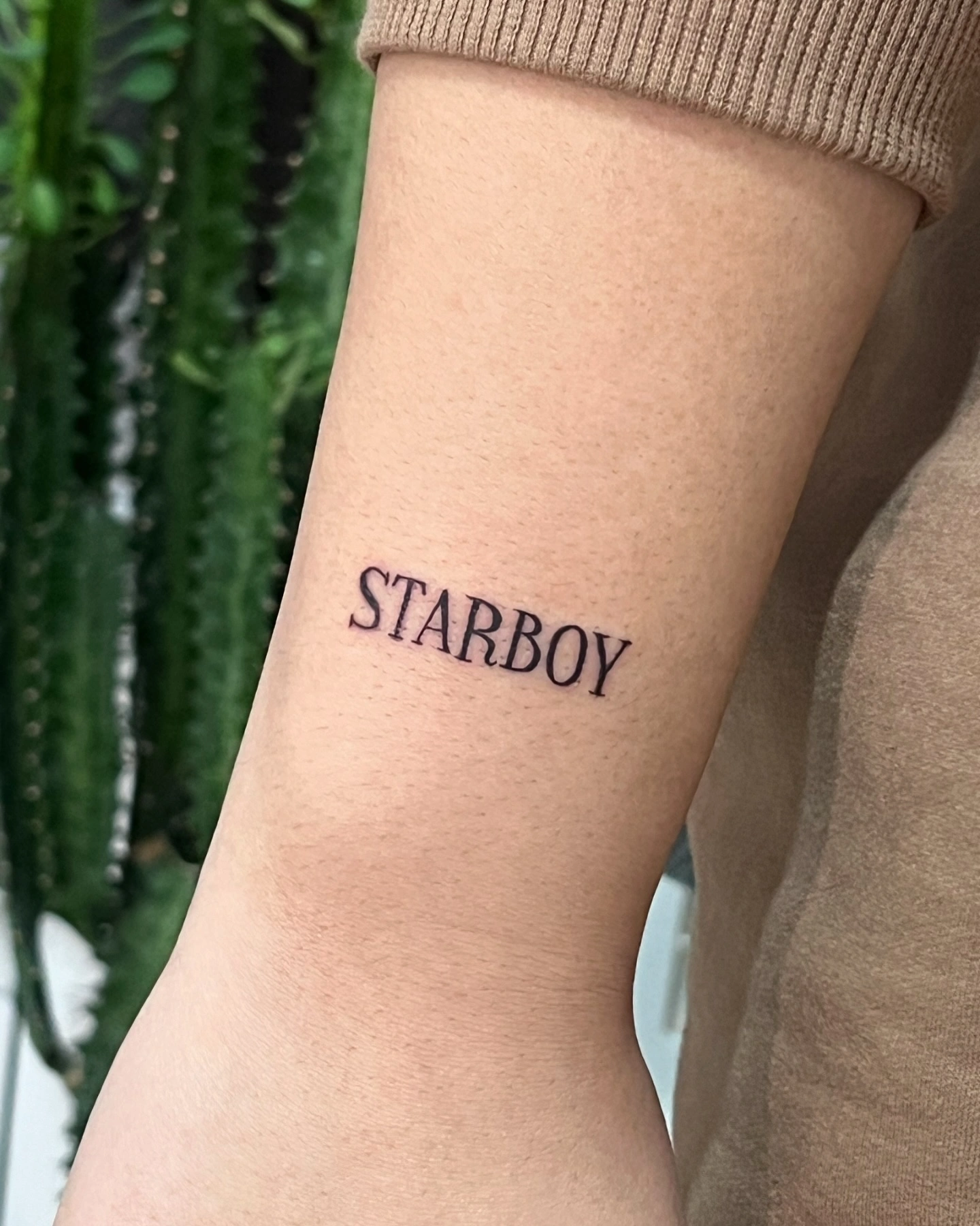 unes.ink_1731347861_3499121932285173766_702228382