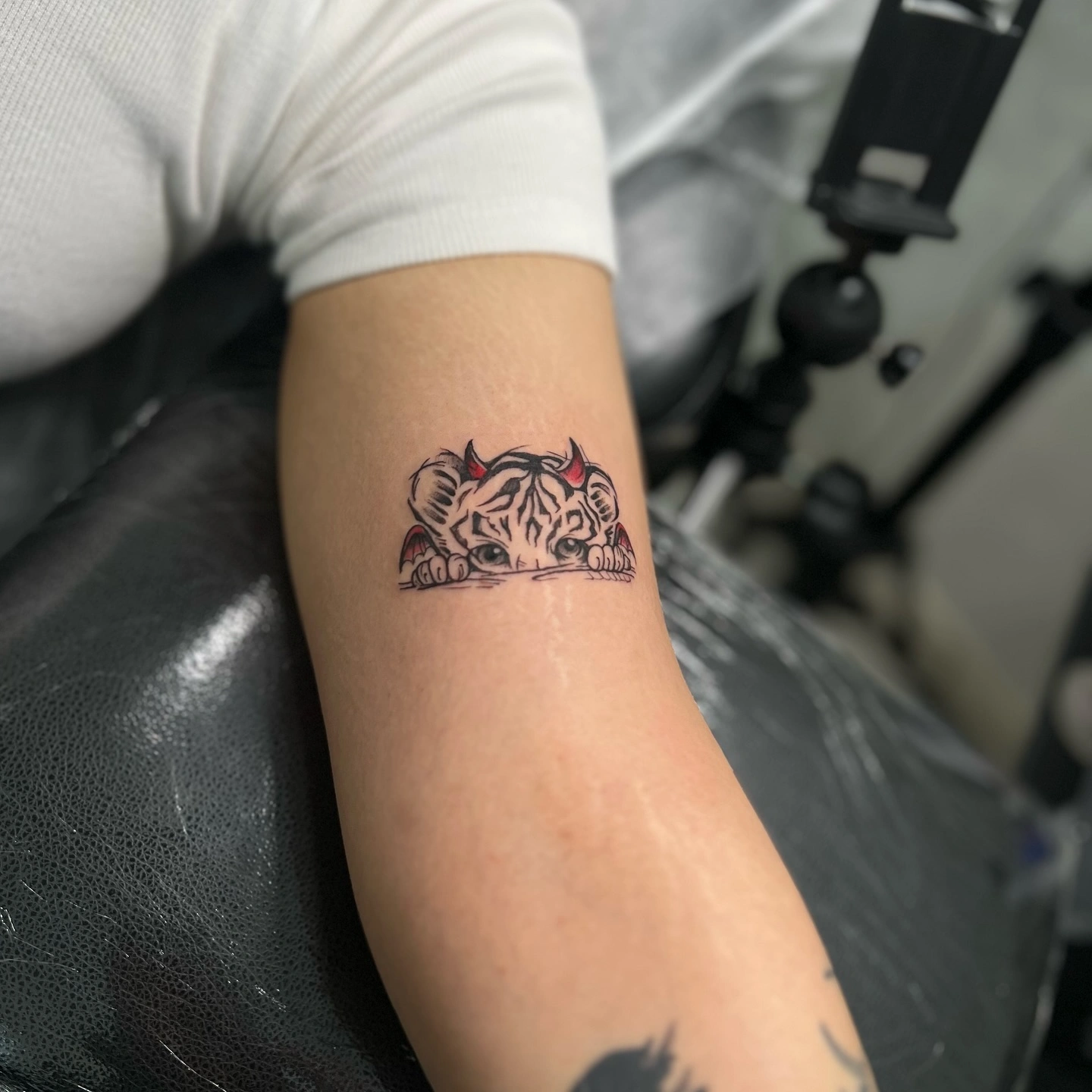 unes.ink_1732474973_3508576835885754846_702228382